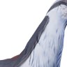 Light Blue And Red