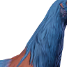 Orange Blue Neck
